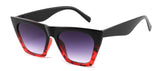 QPD-5 (12PCS)